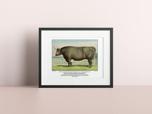 Champion Steer Vintage Currier & Ives Poster-Poster-Yesteeyear