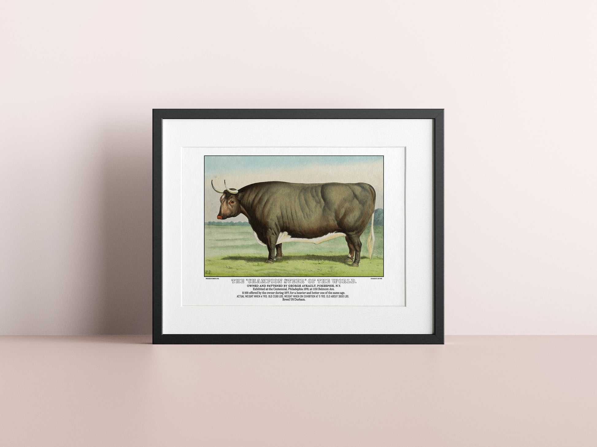 Champion Steer Vintage Currier & Ives Poster-Poster-Yesteeyear