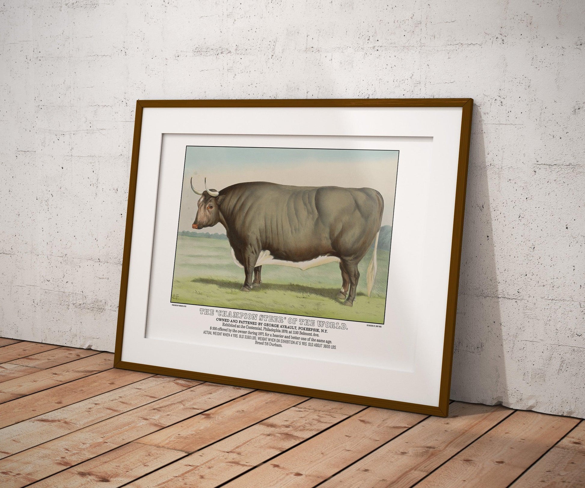 Champion Steer Vintage Currier & Ives Poster-Poster-Yesteeyear